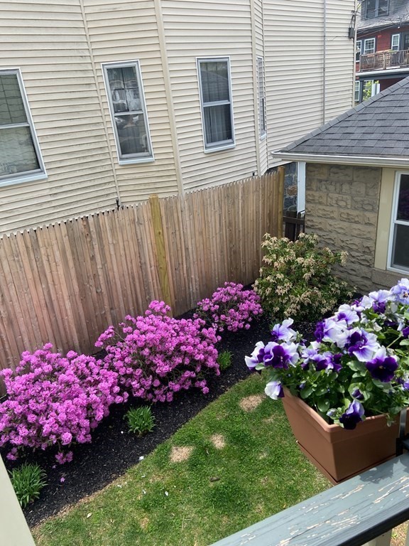 14 Castleton Street, Unit 2 Boston, MA 02130 - Photo 21 of 23 a view of a bunch of flowers in a yard