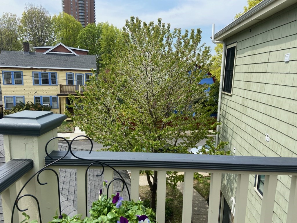 14 Castleton Street, Unit 2 Boston, MA 02130 - Photo 23 of 23 a view of a patio with table and chairs and potted plants