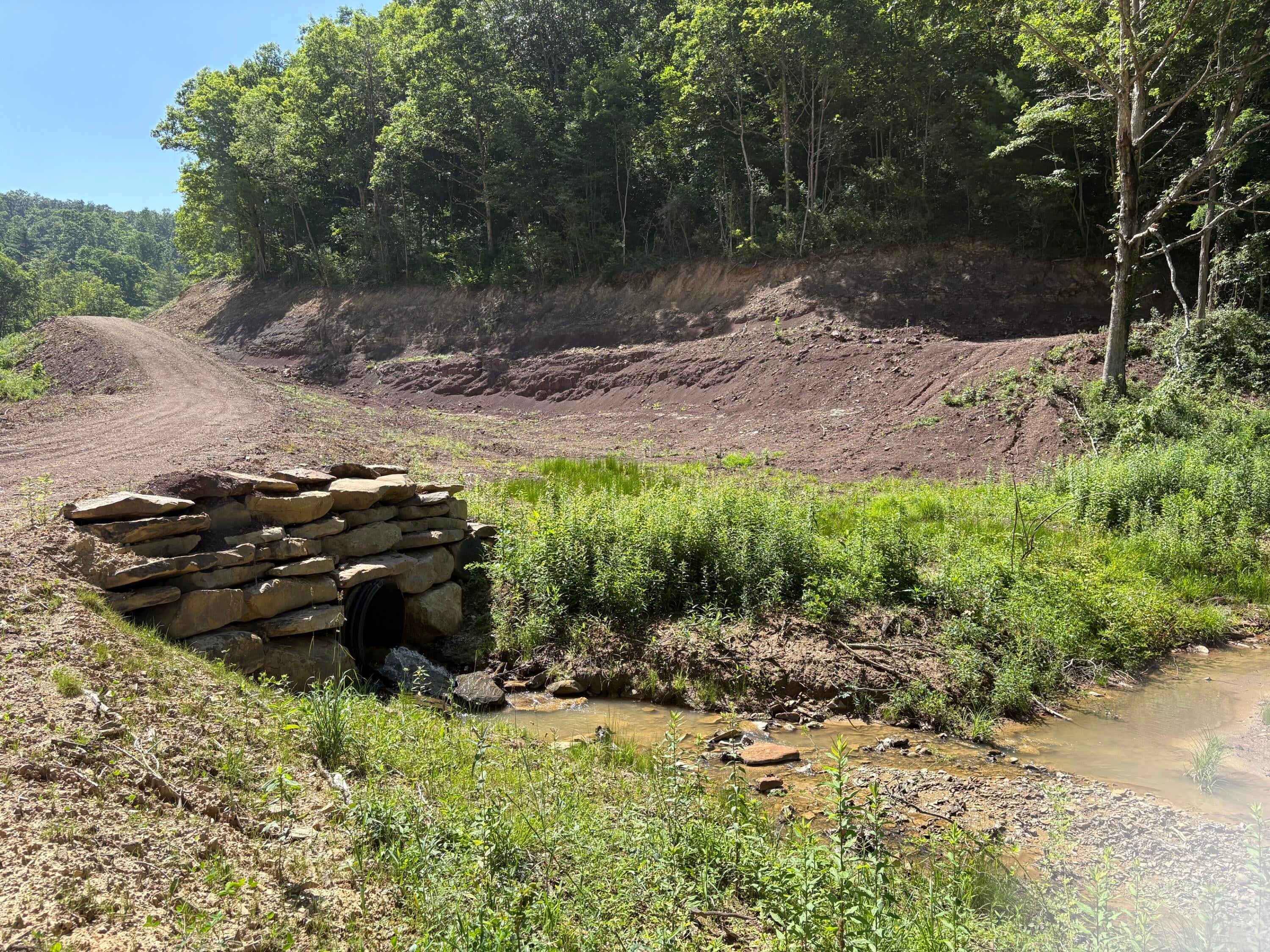 Suck Creek Road Jumping Branch, WV 25969 - Photo 3 of 52 Gallery Image 3