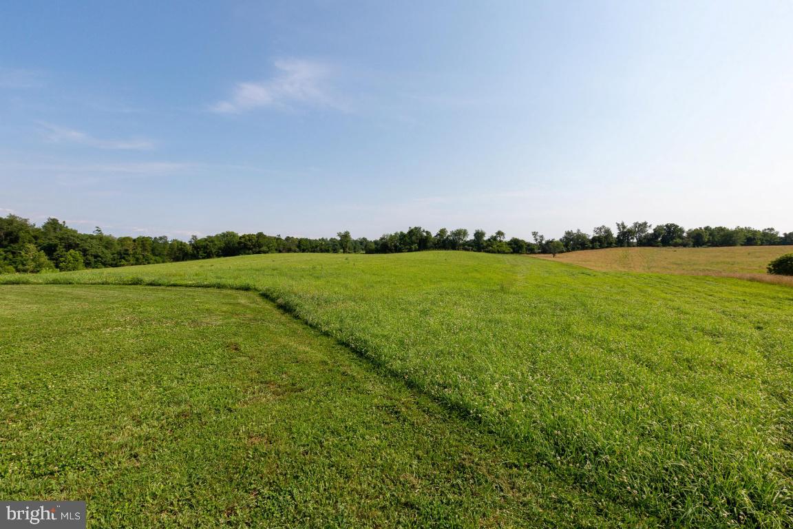 16191 Hamilton Station Road Waterford, VA 20197 - Photo 69 of 94 Hay field