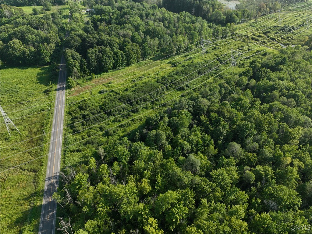 8643 Smokey Hollow Road Lysander, NY 13027 - Photo 6 of 14