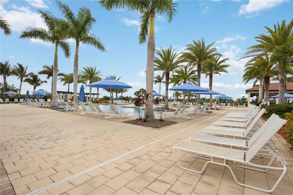 23619 Awabuki Drive, Unit 426 Venice, FL 34293 - Photo 50 of 84