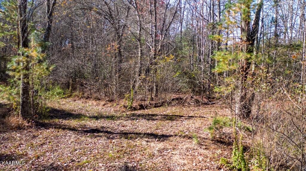 0 Massingale Road Tellico Plains, TN 37385 - Photo 13 of 60 Gallery Image 13