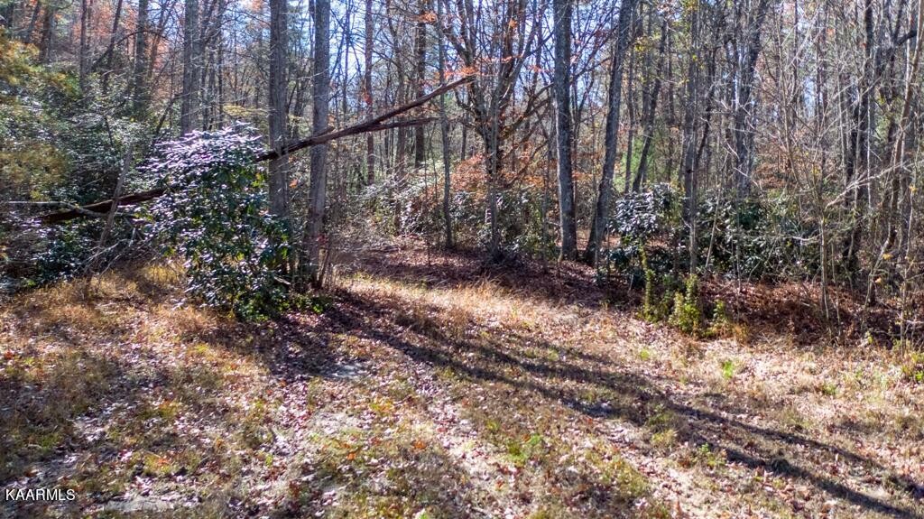 0 Massingale Road Tellico Plains, TN 37385 - Photo 16 of 60 Gallery Image 16