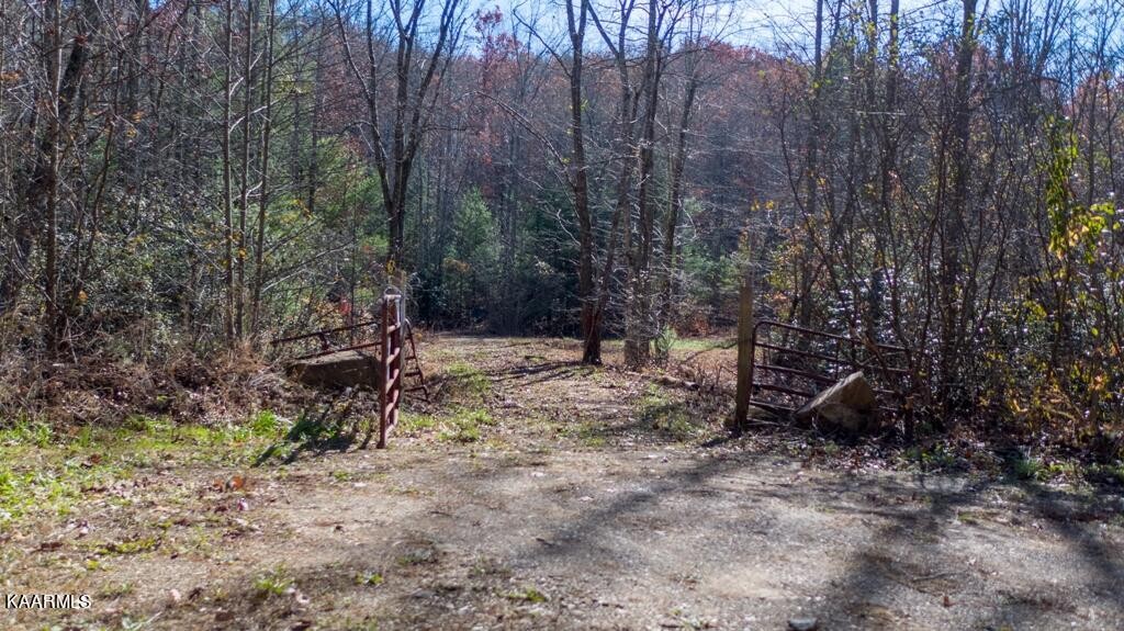 0 Massingale Road Tellico Plains, TN 37385 - Photo 2 of 60 Gallery Image 2