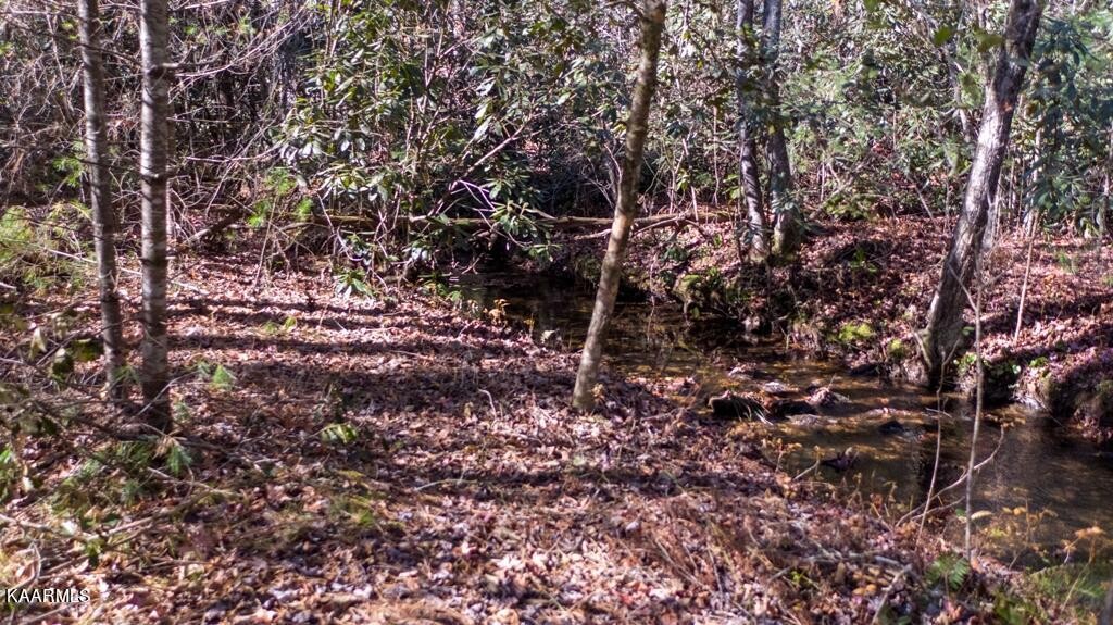 0 Massingale Road Tellico Plains, TN 37385 - Photo 24 of 60 Gallery Image 24