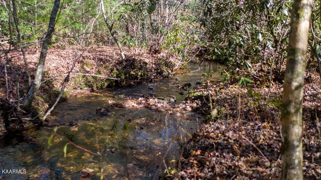 0 Massingale Road Tellico Plains, TN 37385 - Photo 25 of 60 Gallery Image 25