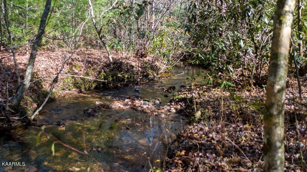 0 Massingale Road Tellico Plains, TN 37385 - Photo 26 of 60 Gallery Image 26