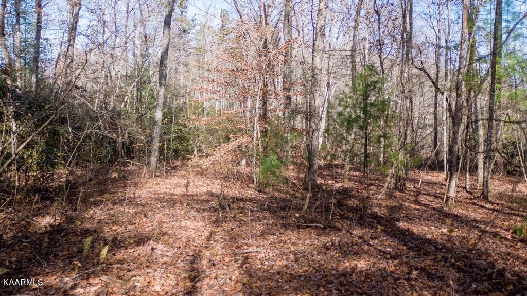 0 Massingale Road Tellico Plains, TN 37385 - Photo 28 of 60 Gallery Image 28