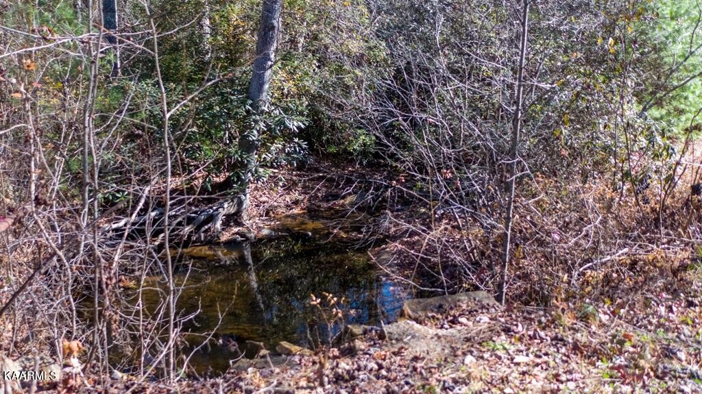0 Massingale Road Tellico Plains, TN 37385 - Photo 3 of 60 Gallery Image 3
