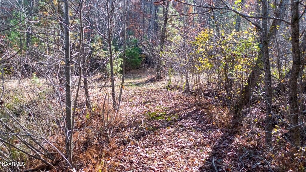 0 Massingale Road Tellico Plains, TN 37385 - Photo 32 of 60 Gallery Image 32