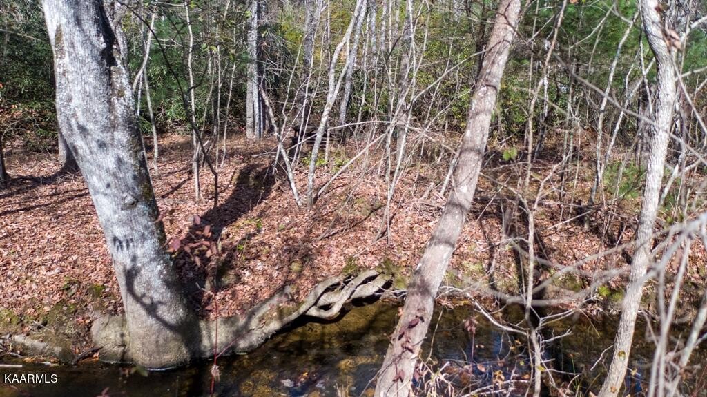 0 Massingale Road Tellico Plains, TN 37385 - Photo 36 of 60 Gallery Image 36