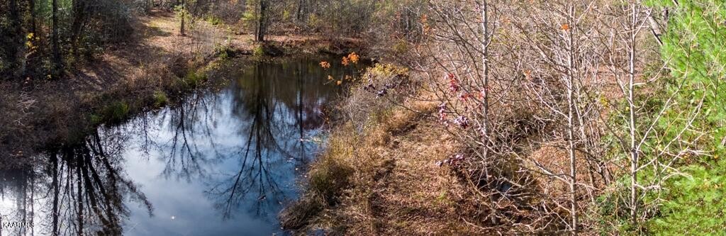 0 Massingale Road Tellico Plains, TN 37385 - Photo 39 of 60 Gallery Image 39