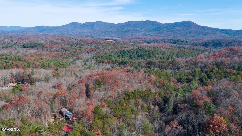 0 Massingale Road Tellico Plains, TN 37385 - Photo 44 of 60 Gallery Image 44