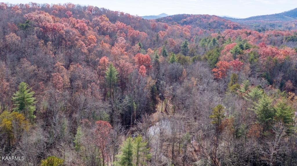 0 Massingale Road Tellico Plains, TN 37385 - Photo 46 of 60 Gallery Image 46