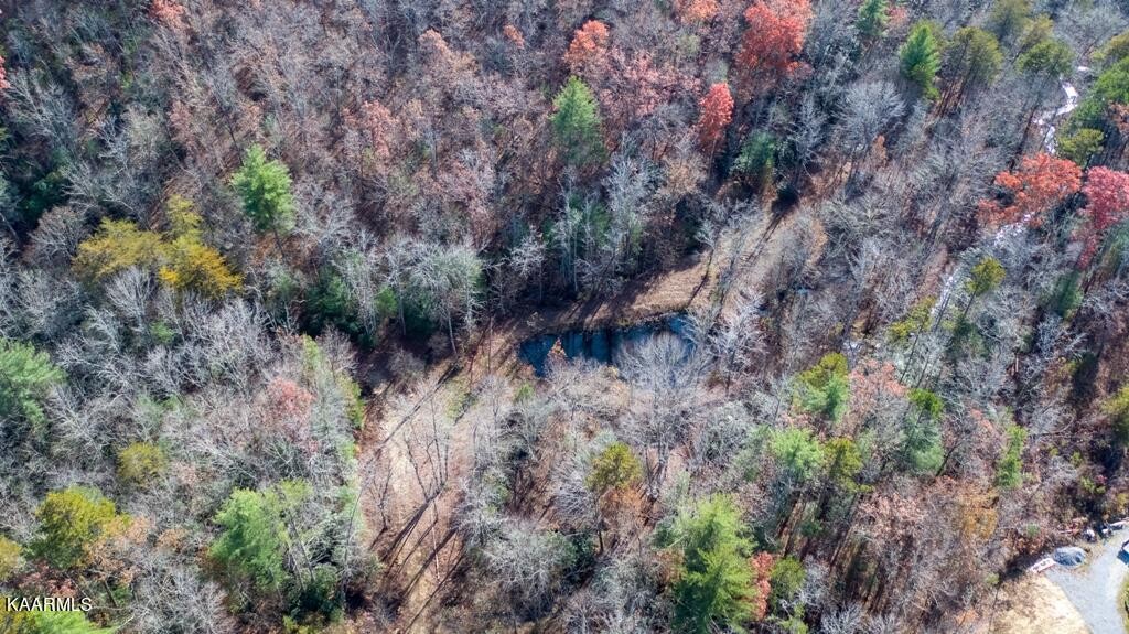 0 Massingale Road Tellico Plains, TN 37385 - Photo 47 of 60 Gallery Image 47