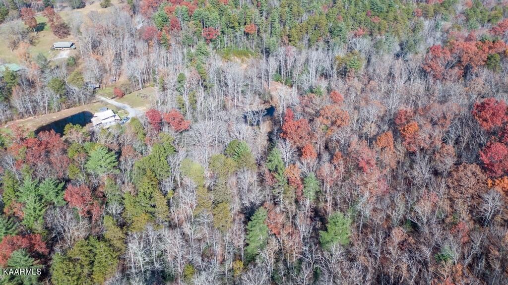 0 Massingale Road Tellico Plains, TN 37385 - Photo 51 of 60 Gallery Image 51