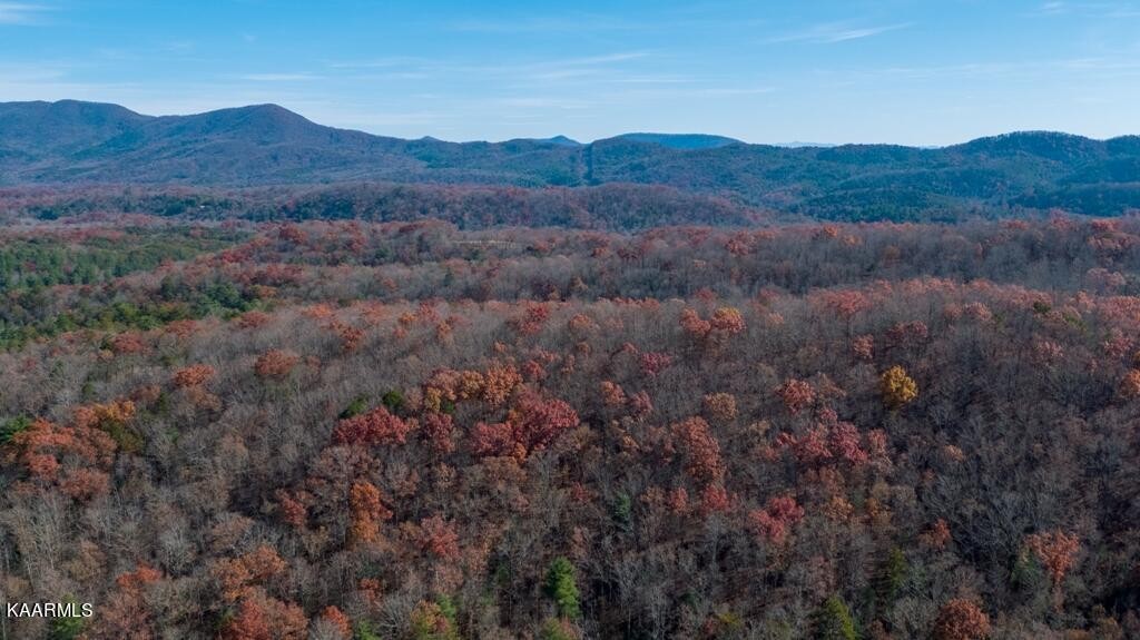 0 Massingale Road Tellico Plains, TN 37385 - Photo 53 of 60 Gallery Image 53