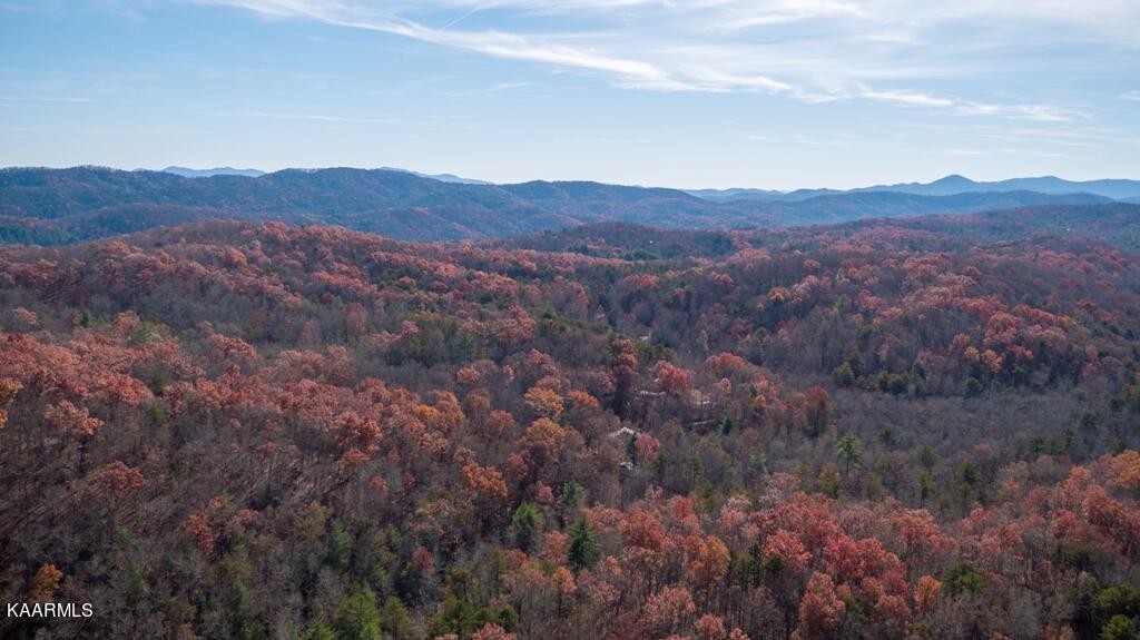 0 Massingale Road Tellico Plains, TN 37385 - Photo 55 of 60 Gallery Image 55