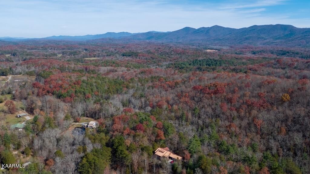 0 Massingale Road Tellico Plains, TN 37385 - Photo 56 of 60 Gallery Image 56