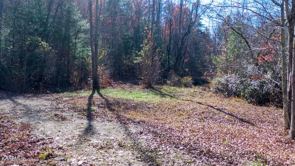 0 Massingale Road Tellico Plains, TN 37385 - Photo 6 of 60 Gallery Image 6