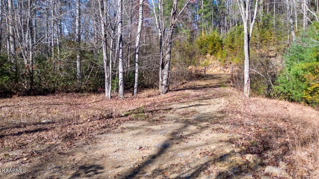 0 Massingale Road Tellico Plains, TN 37385 - Photo 7 of 60 Gallery Image 7