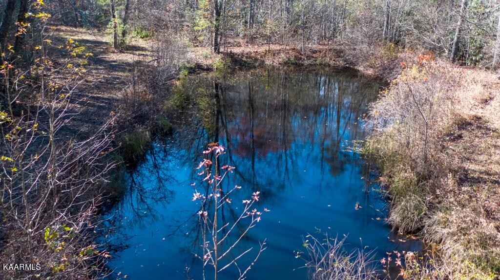 0 Massingale Road Tellico Plains, TN 37385 - Photo 10 of 60 Gallery Image 10