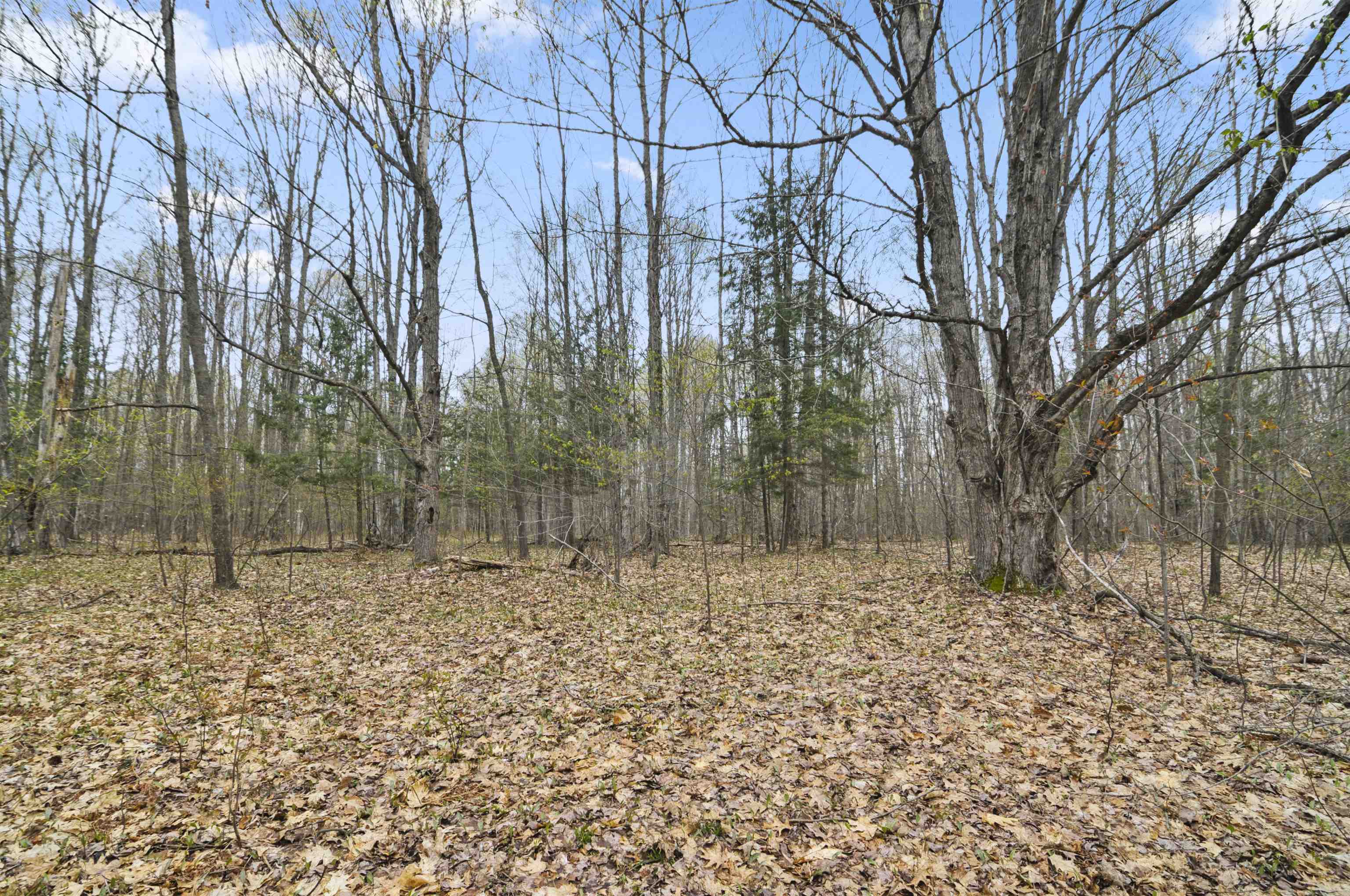 2561 East Johnson Road Lake City, MI 49651 - Photo 48 of 63