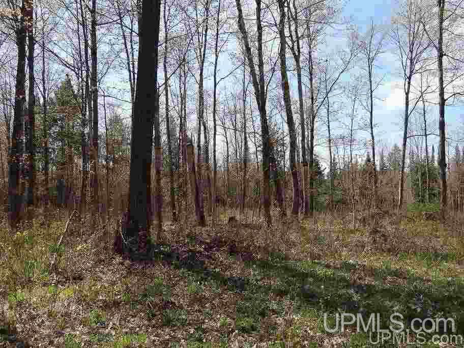 Tbd Tbd Us41 Lanse, MI 49946 - Photo 13 of 23