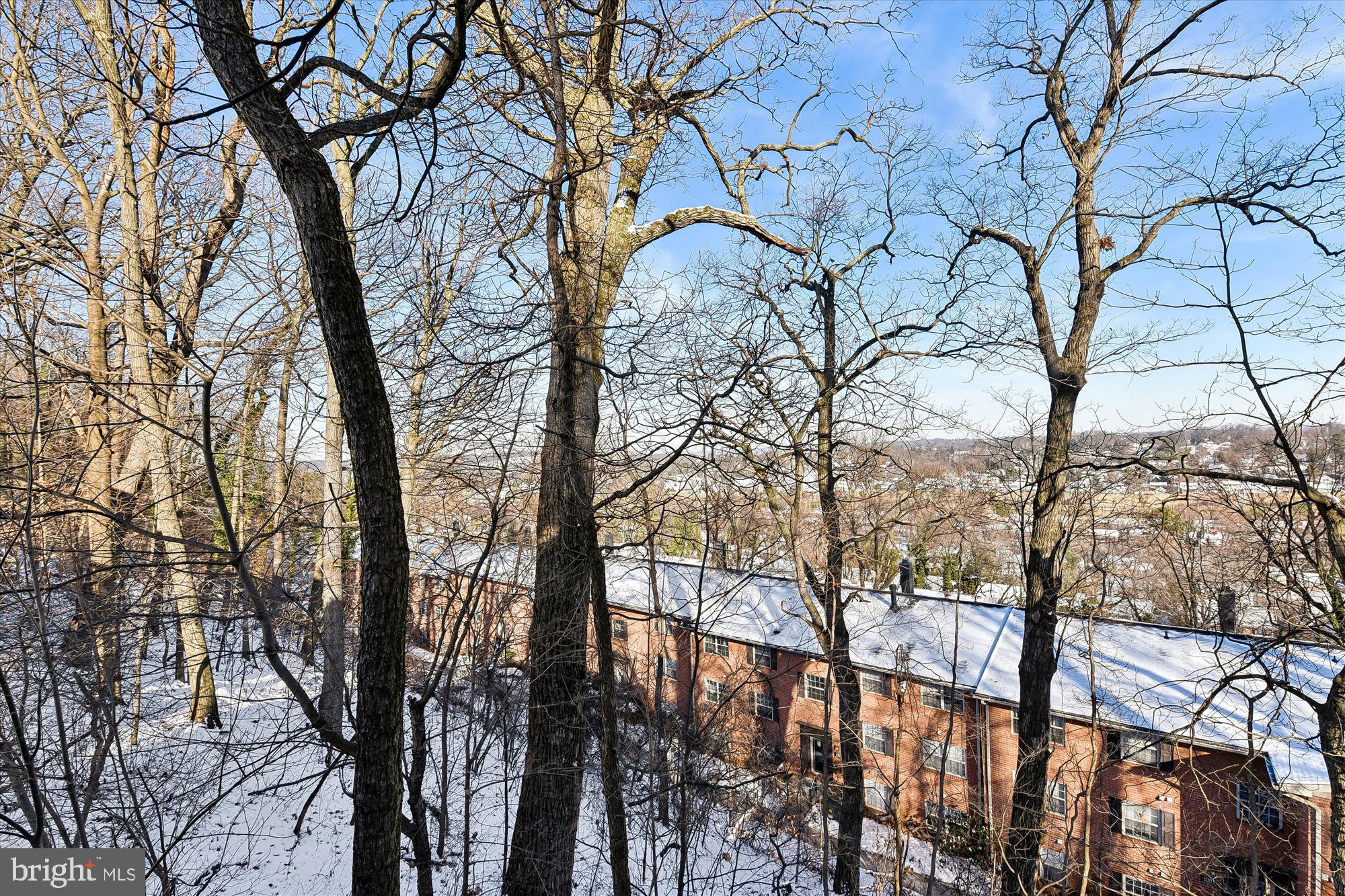 1006 West Joppa Road Towson, MD 21204 - Photo 44 of 47 a view of mountain view with covered trees