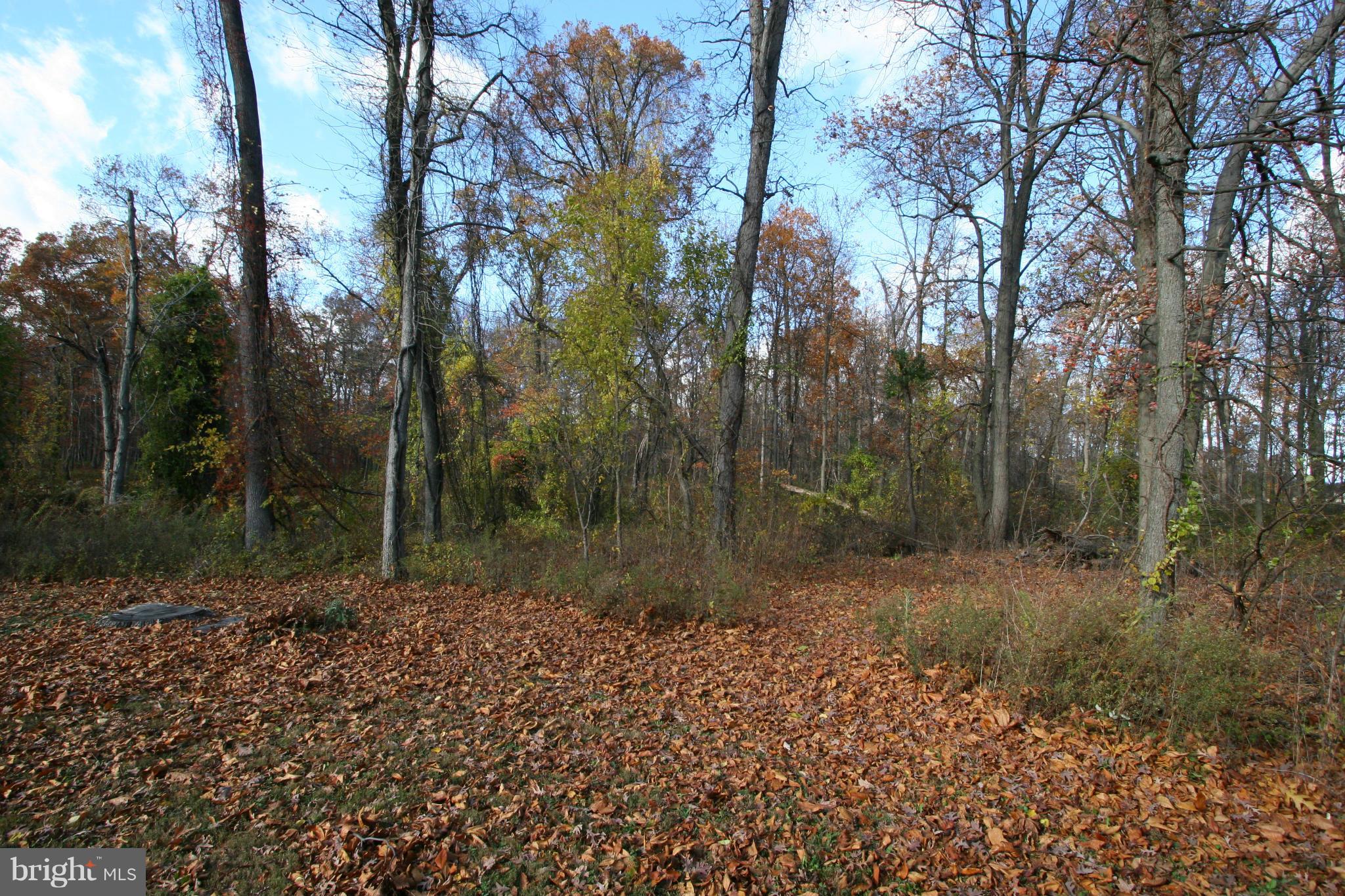 1028 Sullivan Road Westminster, MD 21157 - Photo 3 of 22 View
