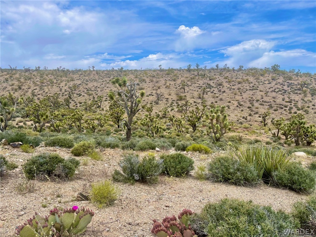 336-05-033 Smith Road Meadview, AZ 86444 - Photo 21 of 36 a view of a yard with a pathway