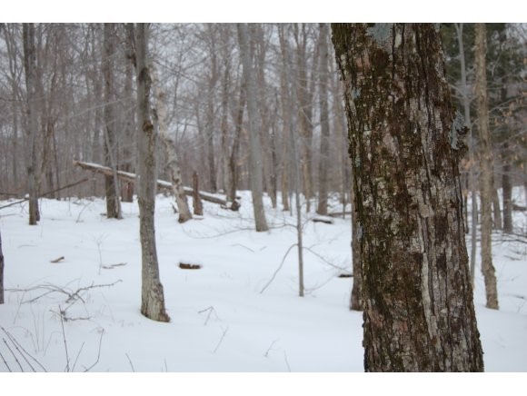 28 Wheeler Road Underhill, VT 05489 - Photo 1 of 1 Gallery Image 1