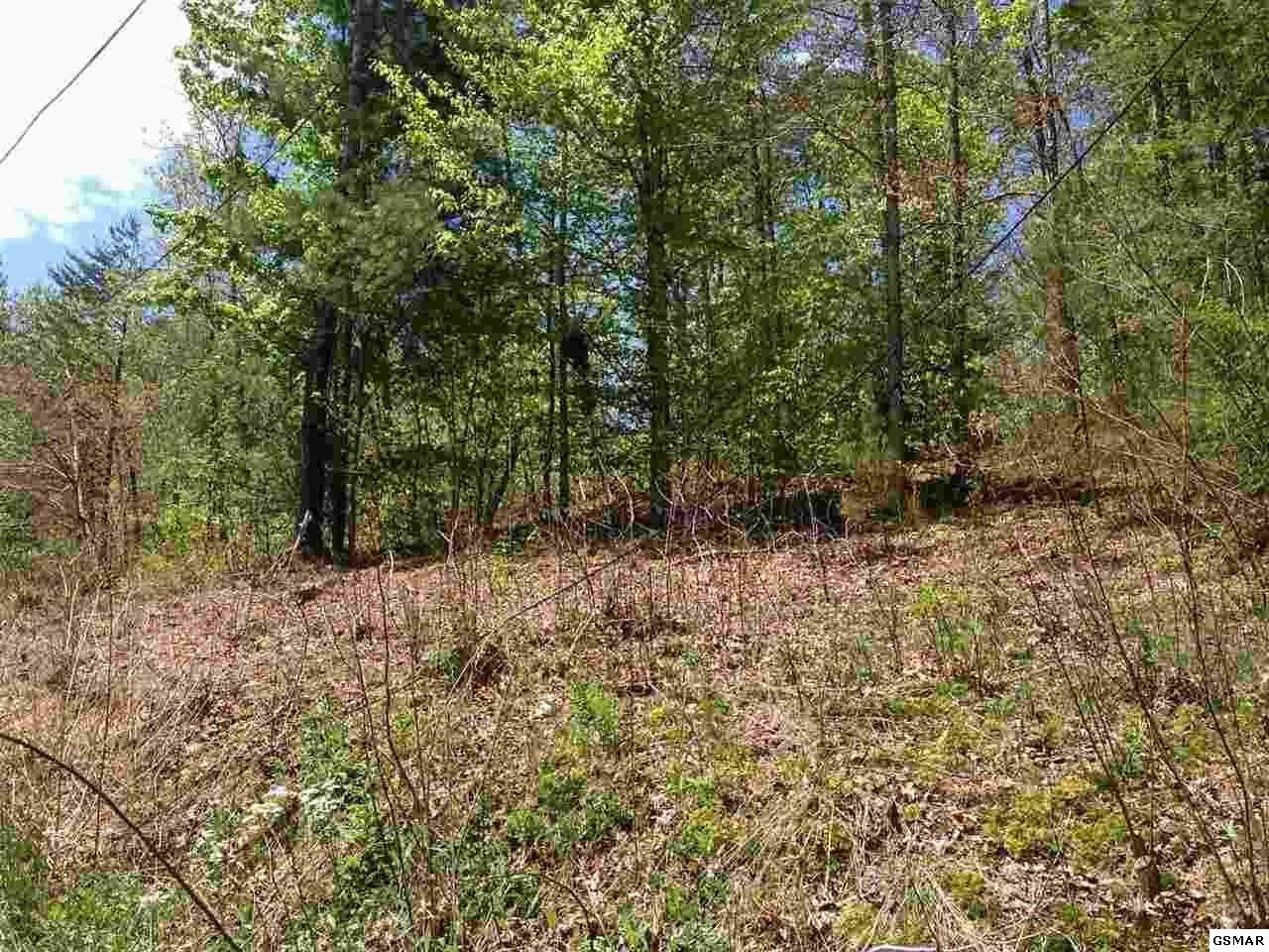 92 Chamberlain Lane Sevierville, TN 37862 - Photo 1 of 1