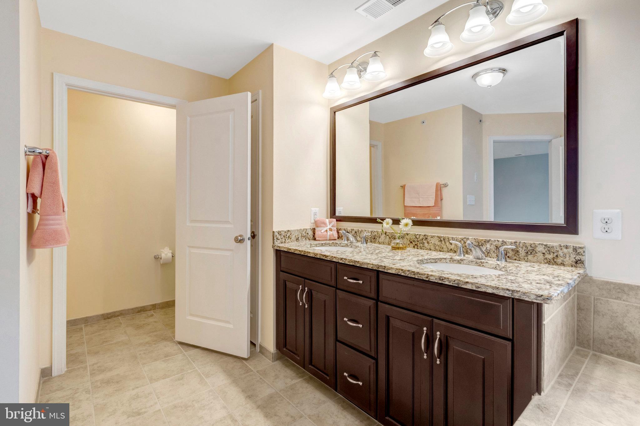 42634 Lancaster Ridge Terrace Chantilly, VA 20152 - Photo 41 of 63 a bathroom with a granite countertop sink and a mirror