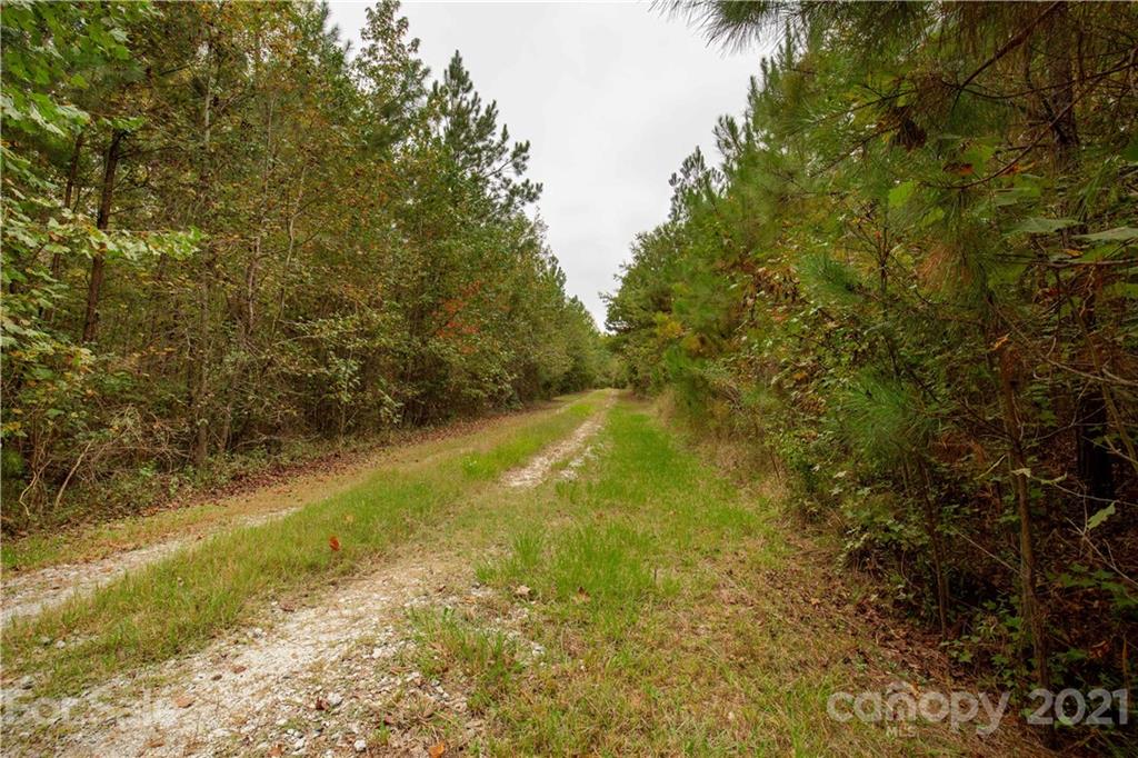3606 J B Denton Road Lancaster, SC 29720 - Photo 13 of 16 Gallery Image 13