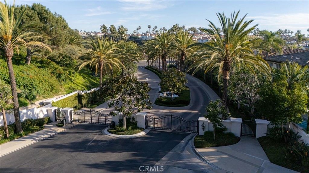 72 Corniche Drive, Unit E Dana Point, CA 92629 - Photo 55 of 61 a view of a backyard with plants and palm trees