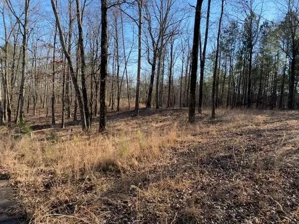 $145,000 | 3595 Northshore Drive, Savannah, TN 38372