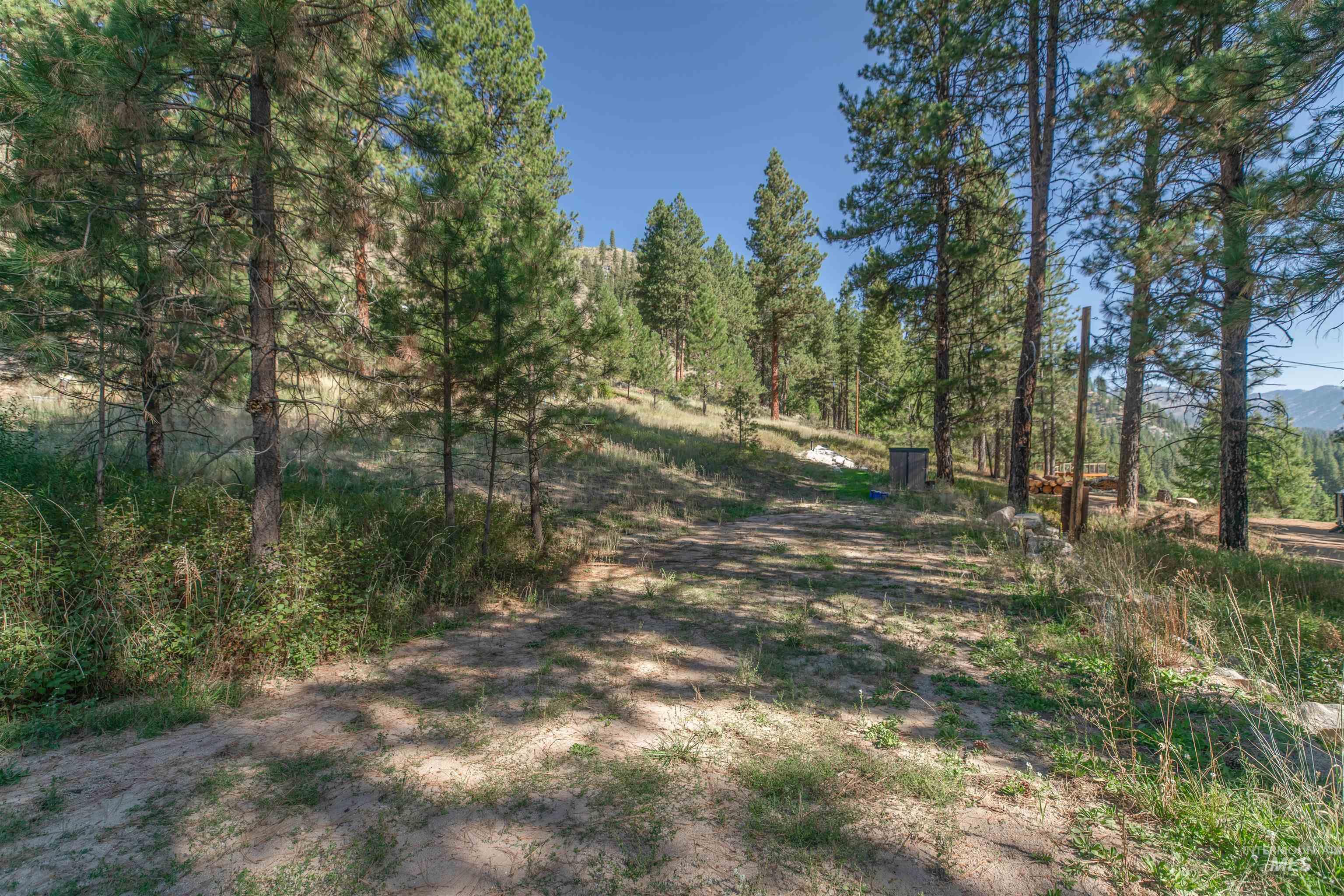 12 Plateau Road Lowman, ID 83637 - Photo 2 of 32 View of undeveloped land