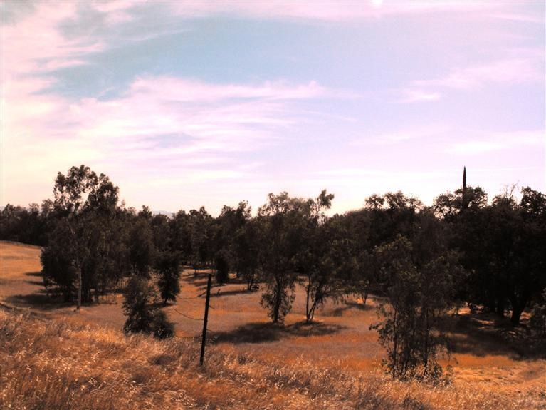 0 Ne Corner Reedley, CA 93654 - Photo 2 of 5 Gallery Image 2