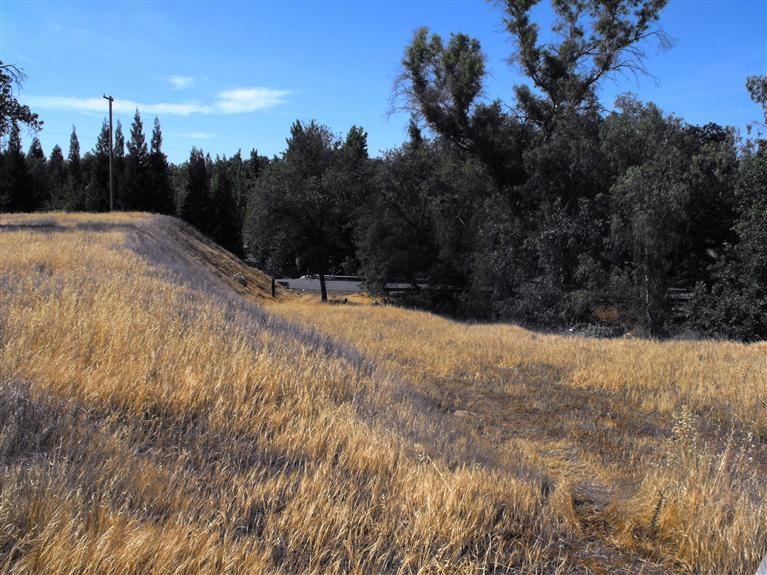 0 Ne Corner Reedley, CA 93654 - Photo 4 of 5 Gallery Image 4