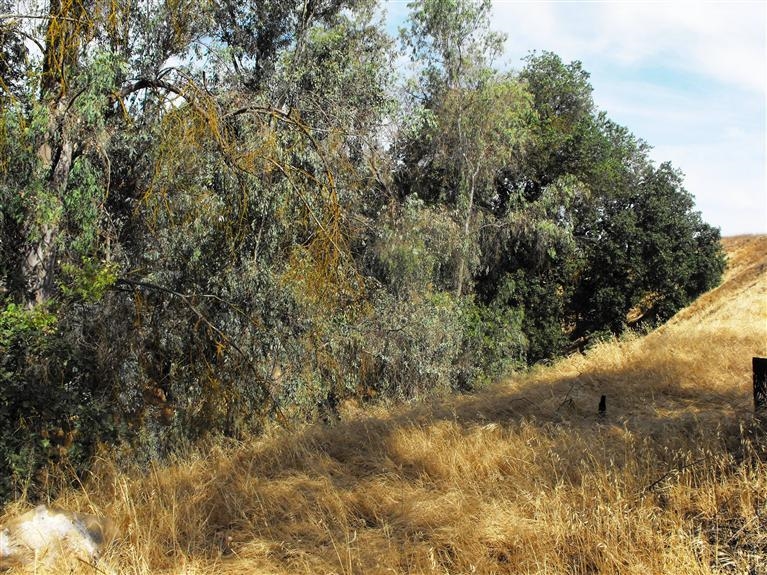 0 Ne Corner Reedley, CA 93654 - Photo 5 of 5 Gallery Image 5