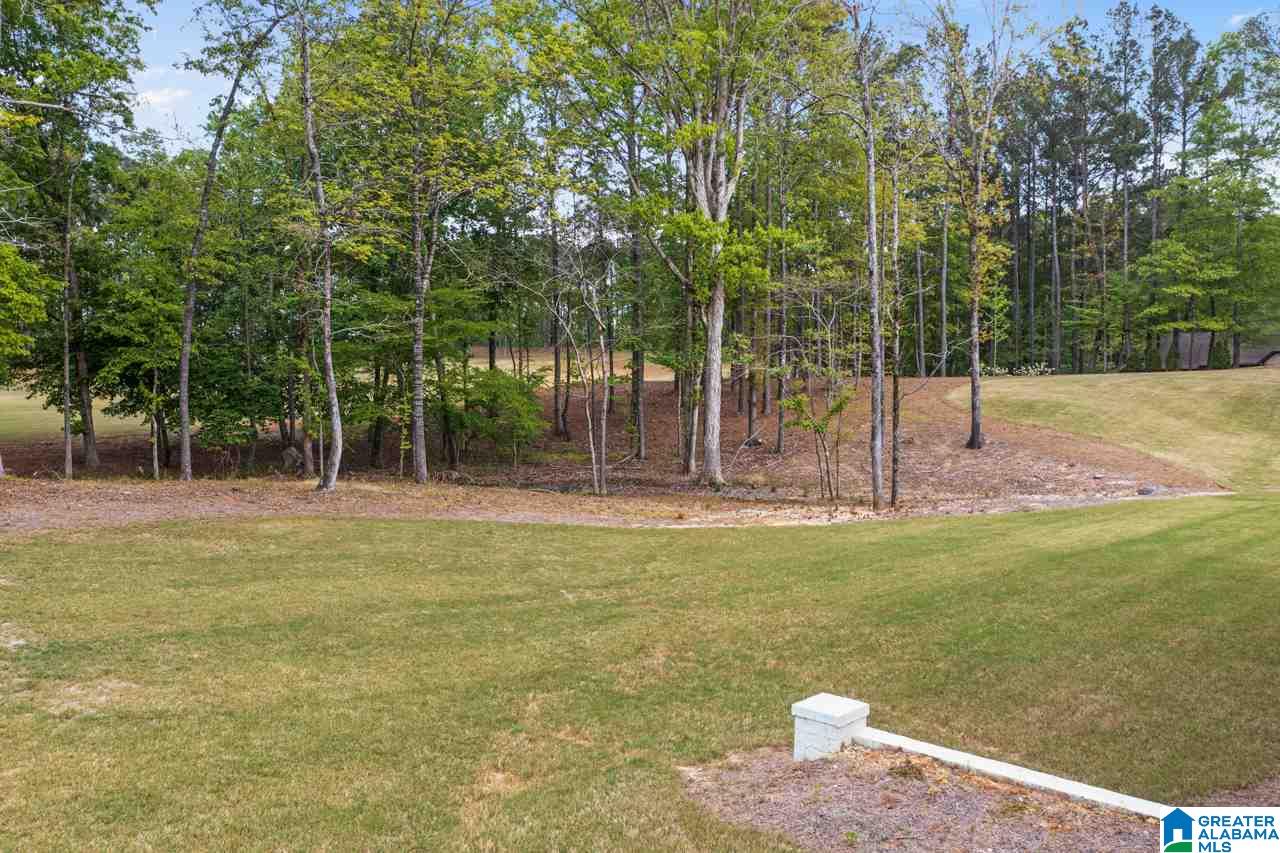 113 Kilberry Circle Pelham, AL 35124 - Photo 14 of 47