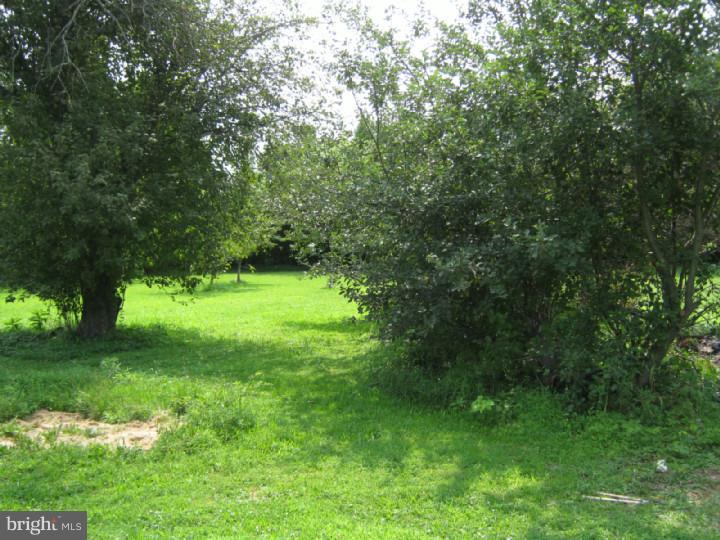 560 Jacksonville Road Warminster, PA 18974 - Photo 6 of 16 Back Yard