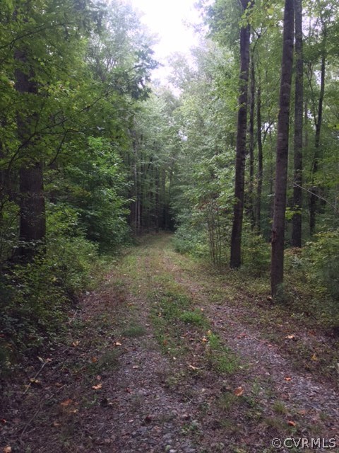0 Chilesburg Road Beaverdam, VA 23015 - Photo 3 of 18