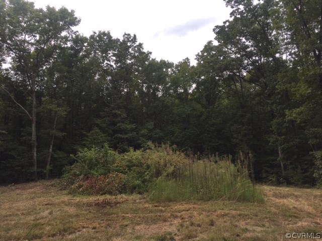 0 Chilesburg Road Beaverdam, VA 23015 - Photo 9 of 18