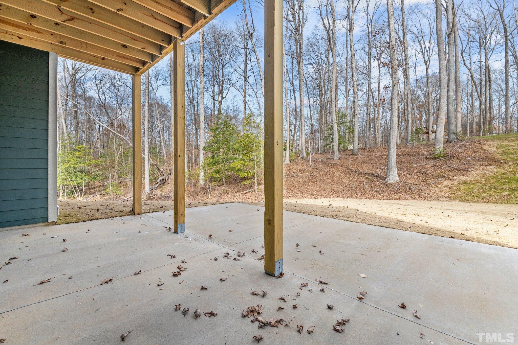 456 Reese Drive Willow Spring, NC 27592 - Photo 45 of 50 a view of backyard with green space