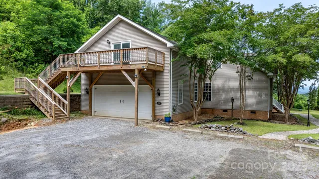 a view of a yard with plants and large trees