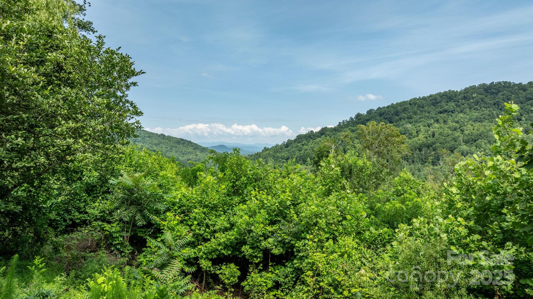 256 Nahum Road Moravian Falls, NC 28654 - Photo 17 of 42