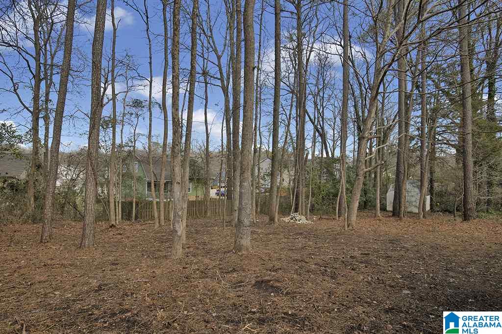 810 4th Avenue Northwest Alabaster, AL 35007 - Photo 15 of 15
